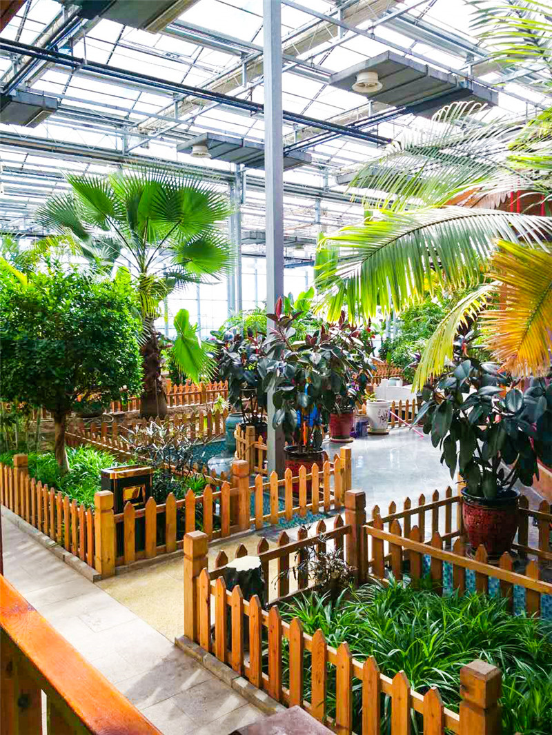 生態(tài)餐廳大棚建設(shè)